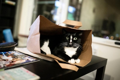 739496.jpeg 739496.jpeg