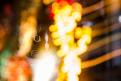 739497.jpeg 739497.jpeg