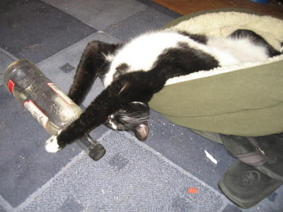 739498.jpeg 739498.jpeg