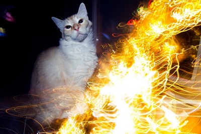 739499.jpeg 739499.jpeg