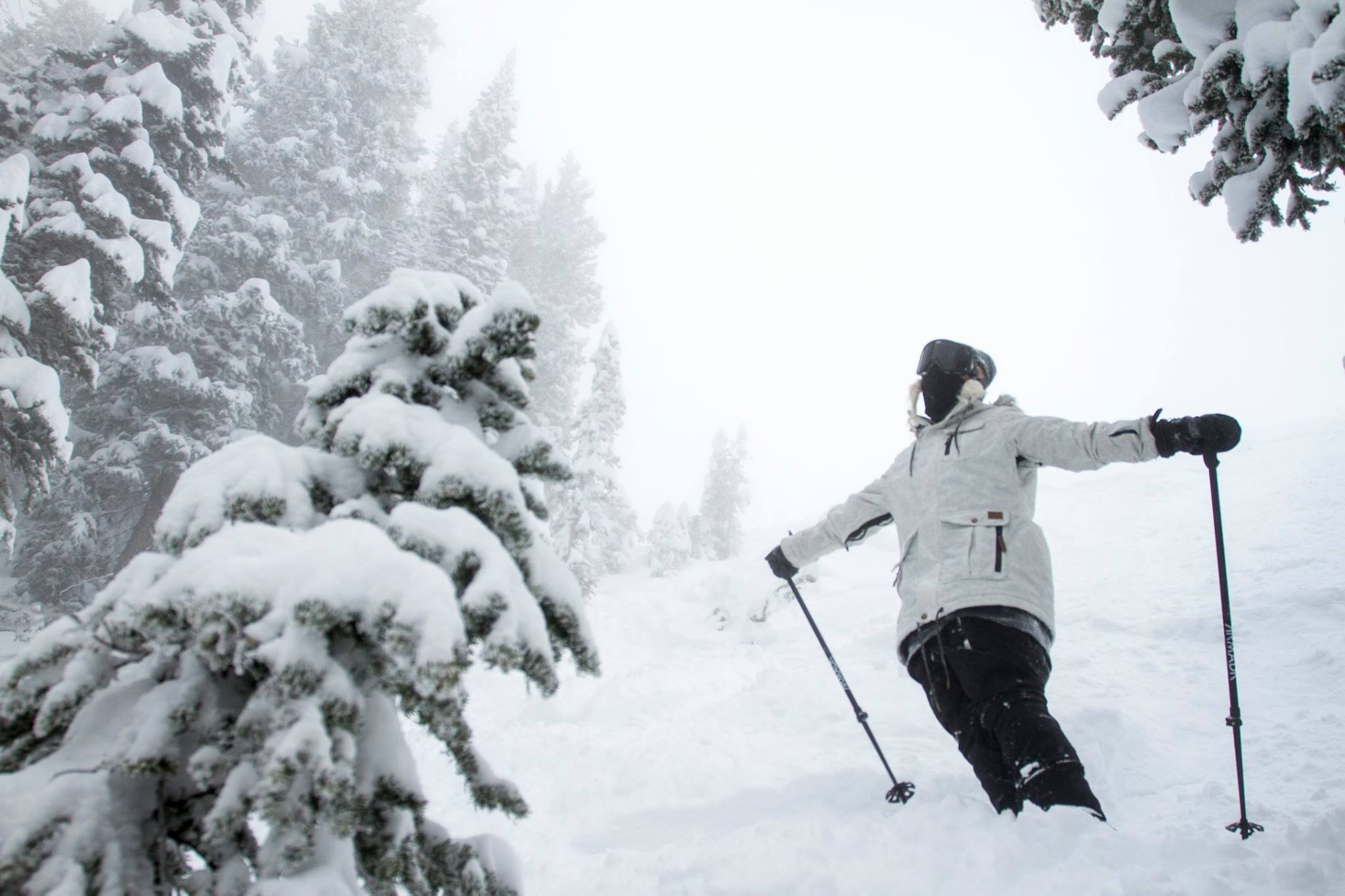 753719.jpeg 753719.jpeg