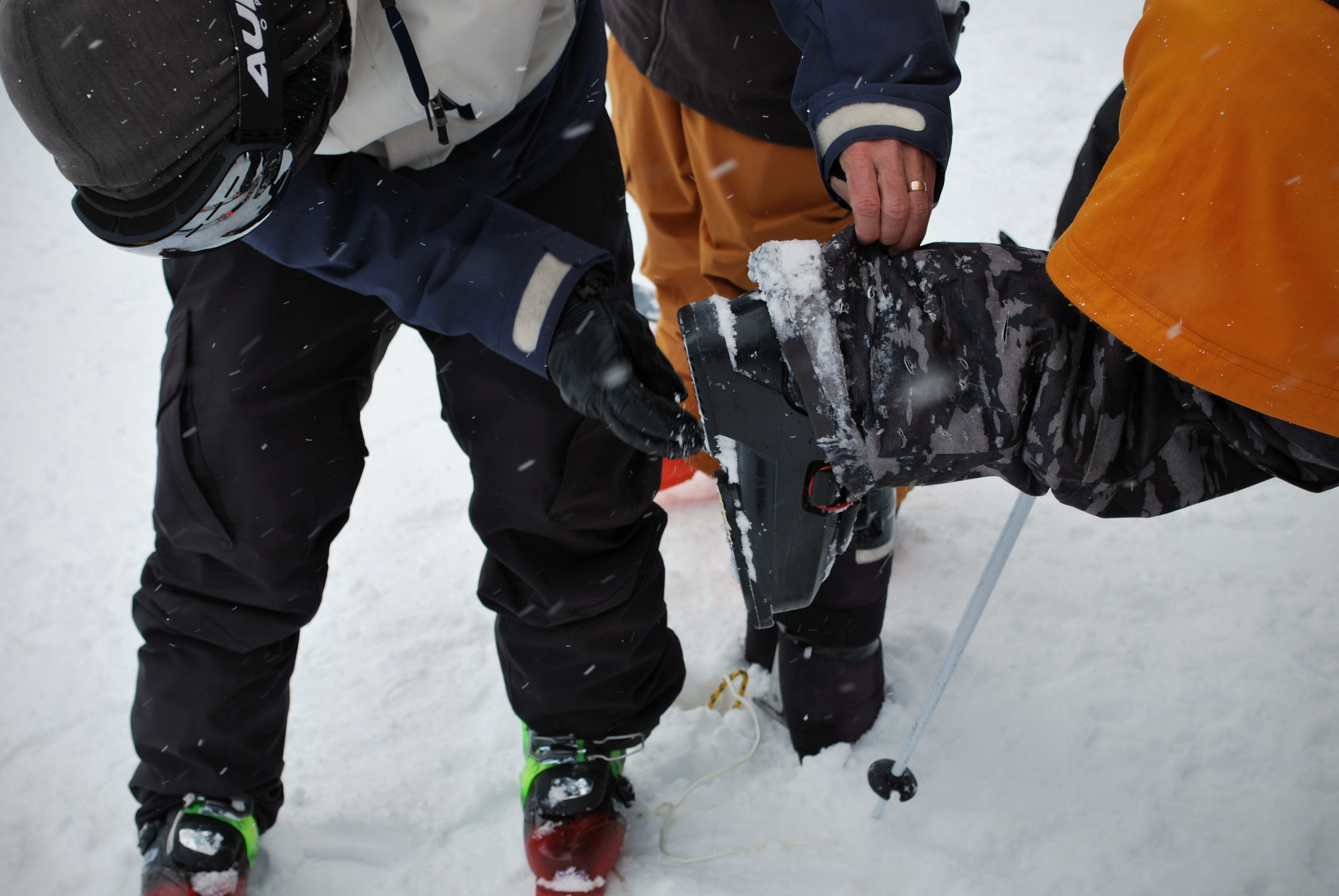 766338.jpeg 766338.jpeg