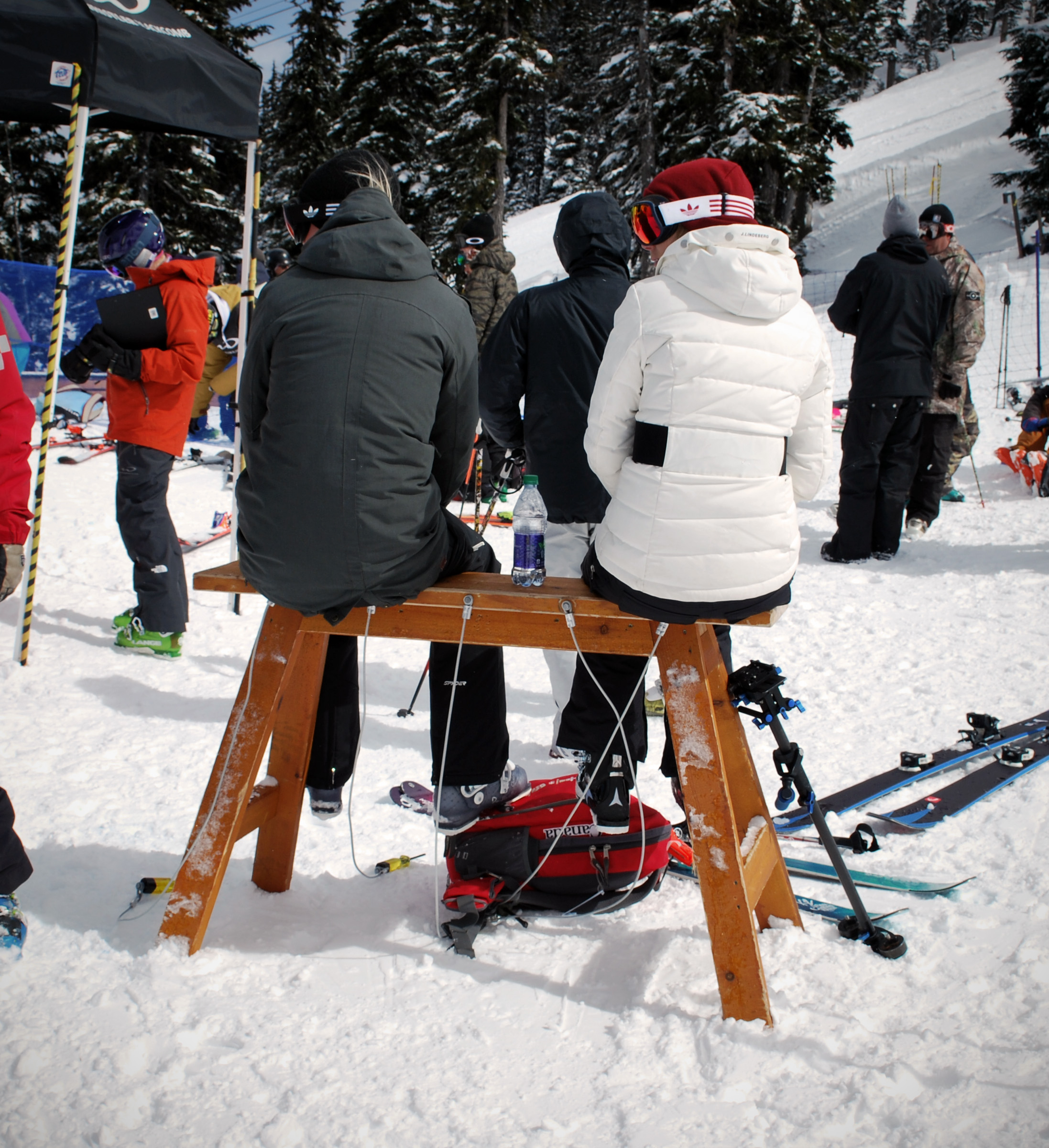 766343.jpeg 766343.jpeg