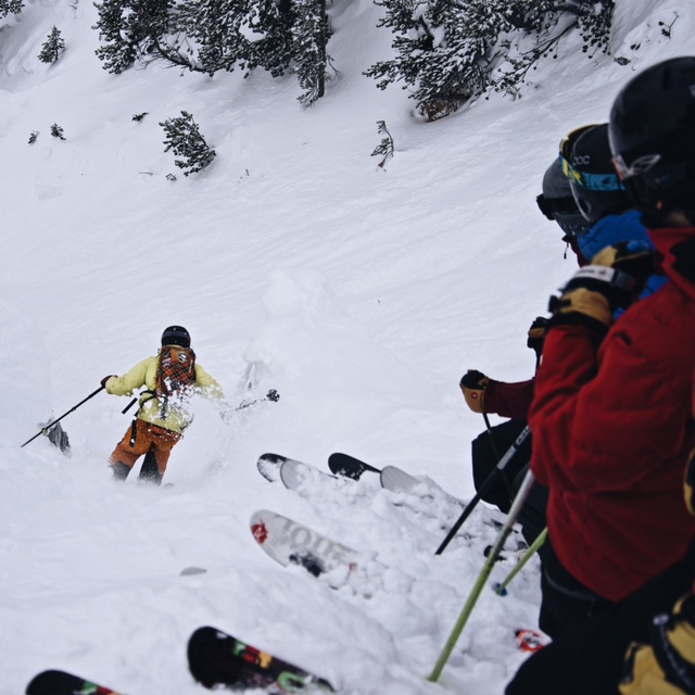 806293.jpeg 806293.jpeg