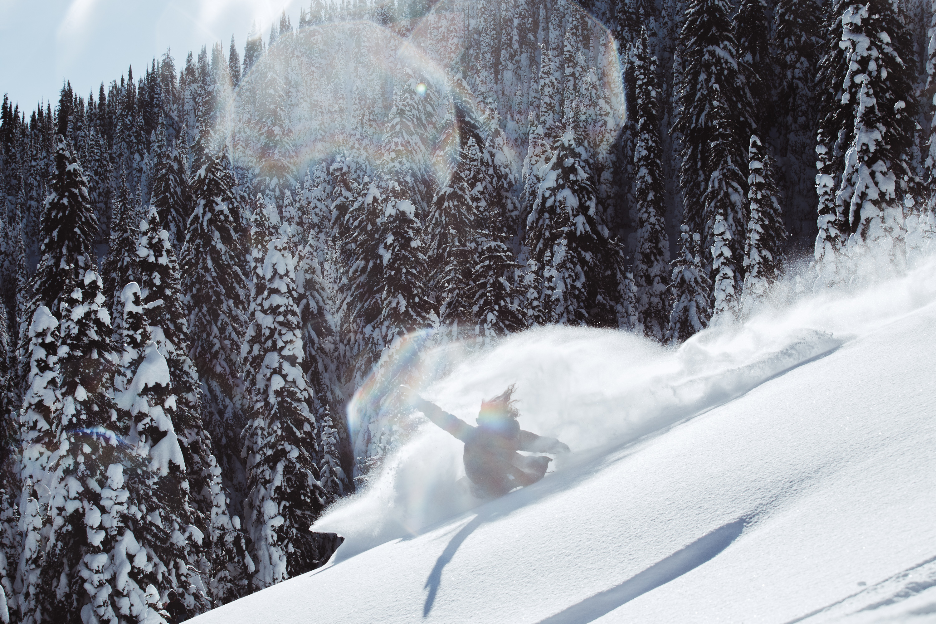 909135.jpeg 909135.jpeg