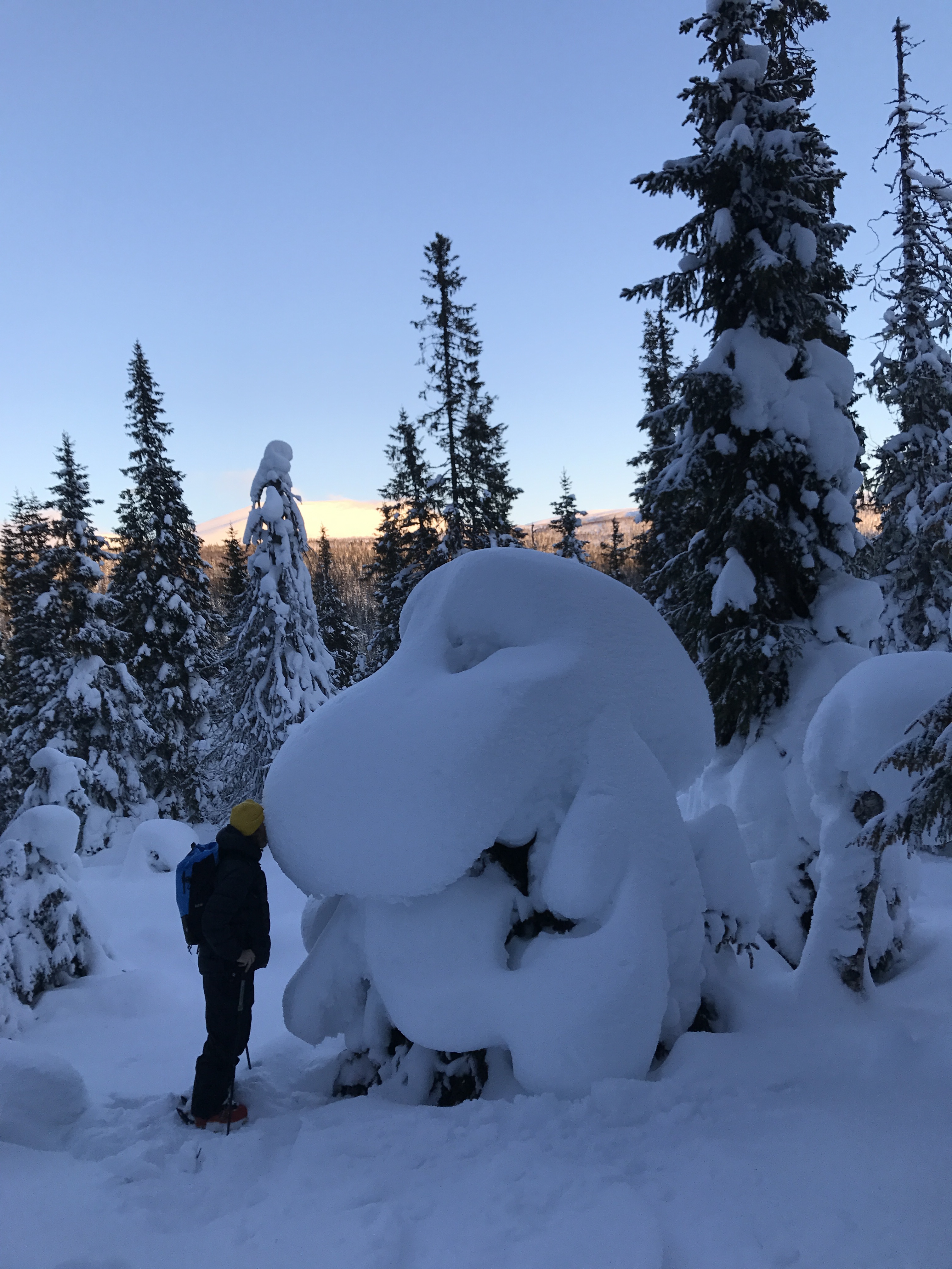 909294.jpeg 909294.jpeg