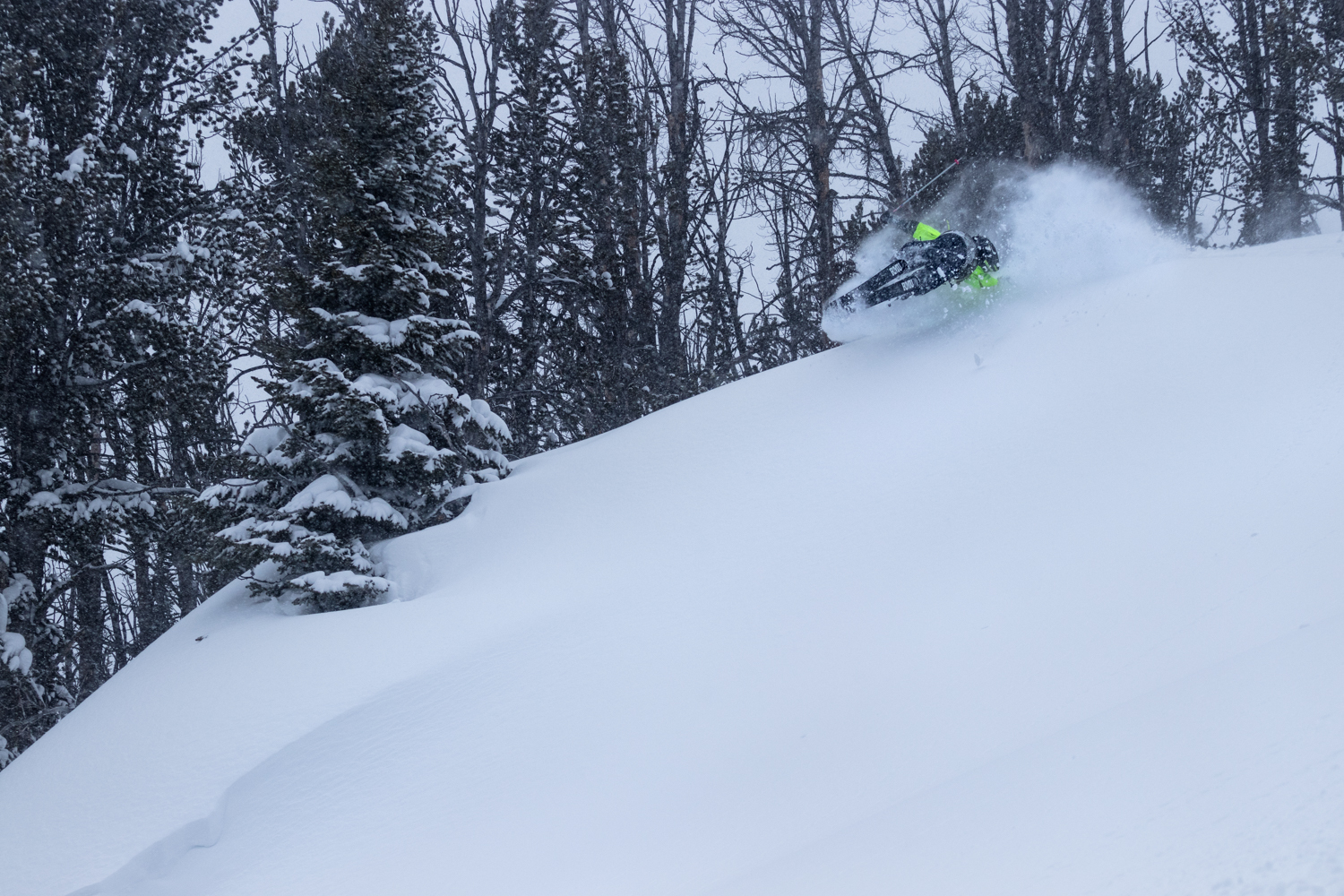 914315.jpeg 914315.jpeg