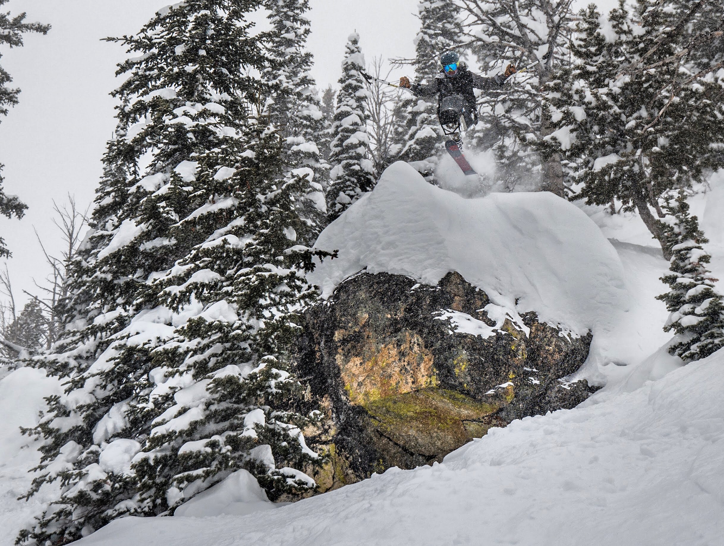 927647.jpeg 927647.jpeg