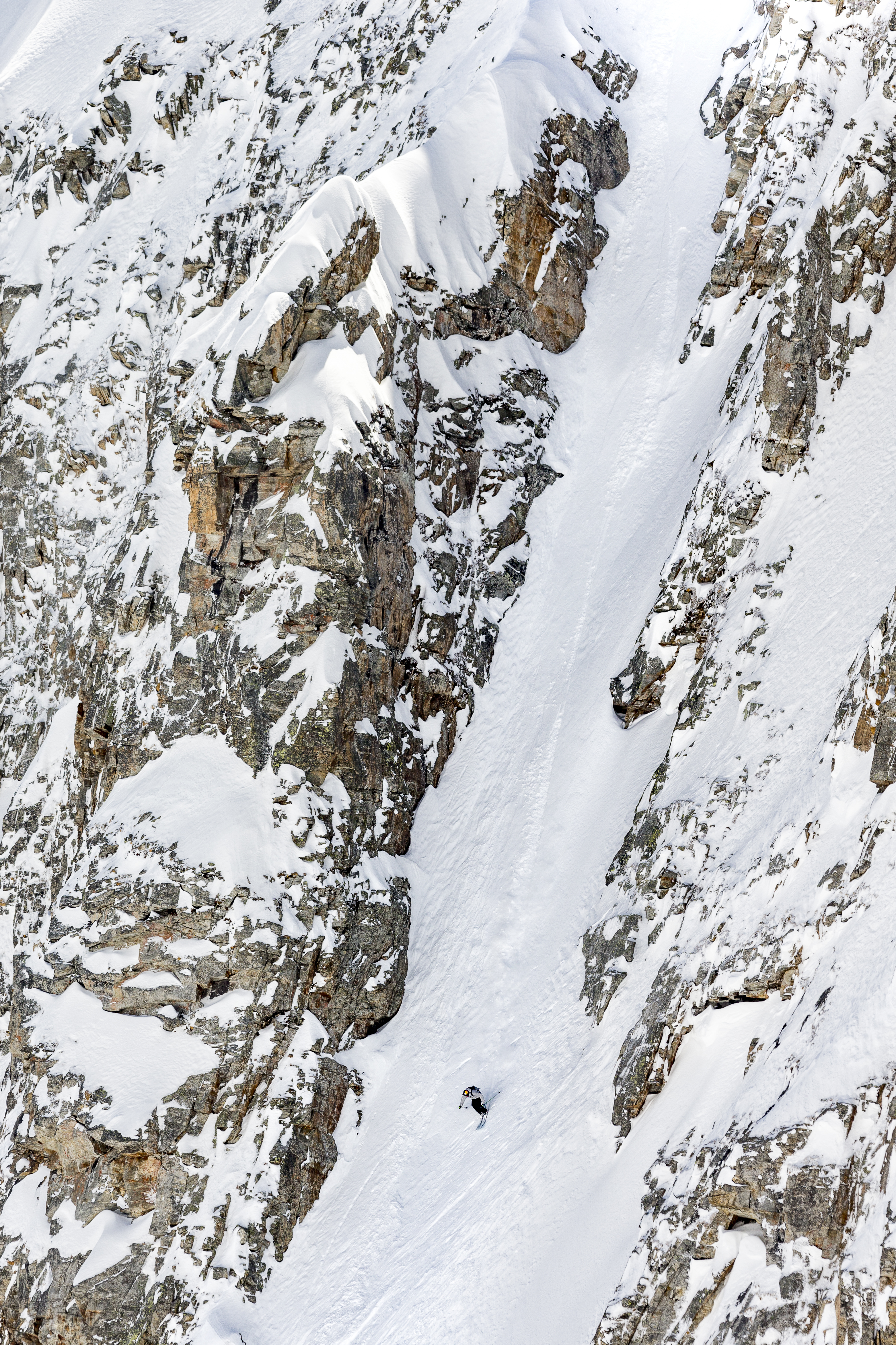 930394.jpeg 930394.jpeg