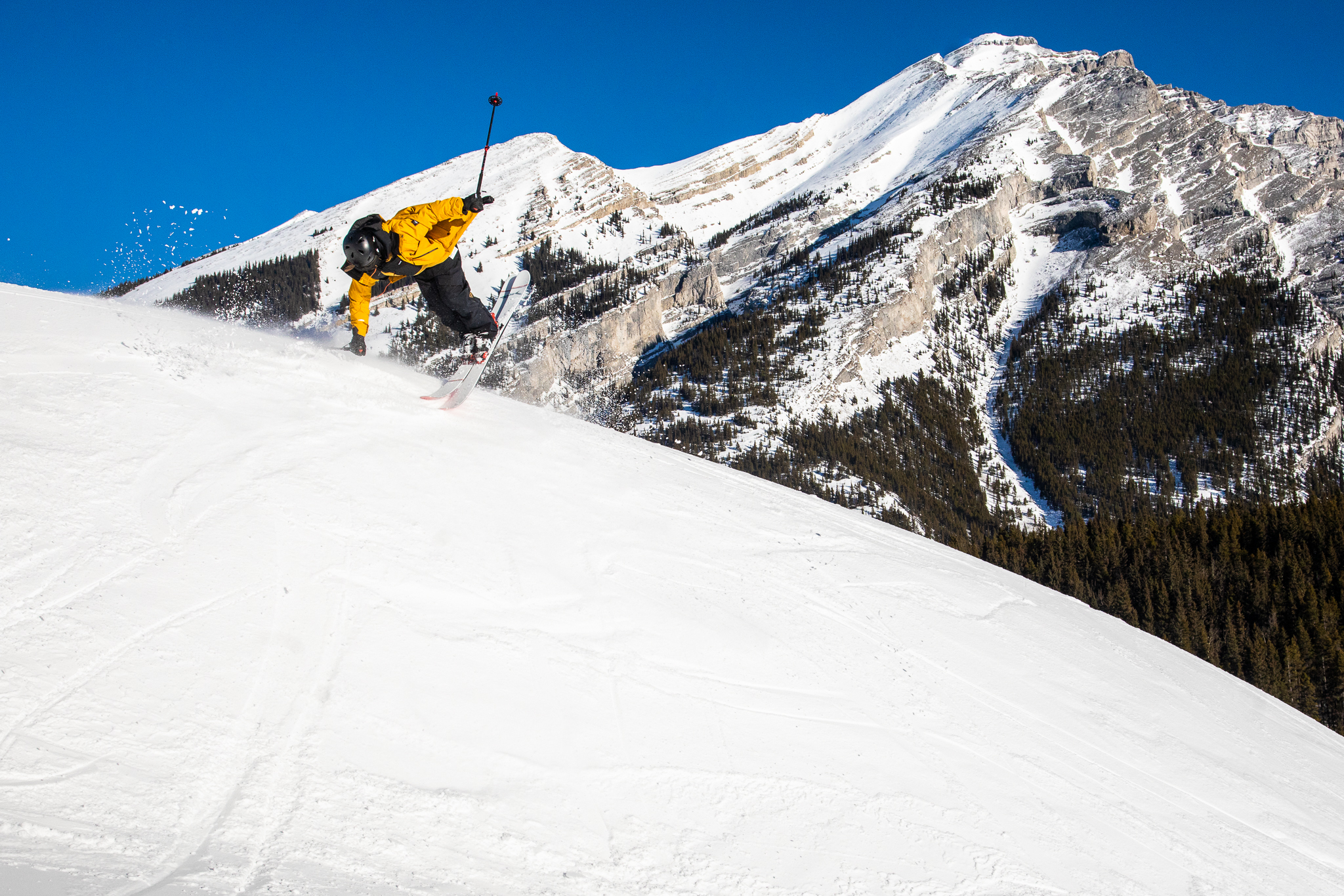 939901.jpeg 939901.jpeg