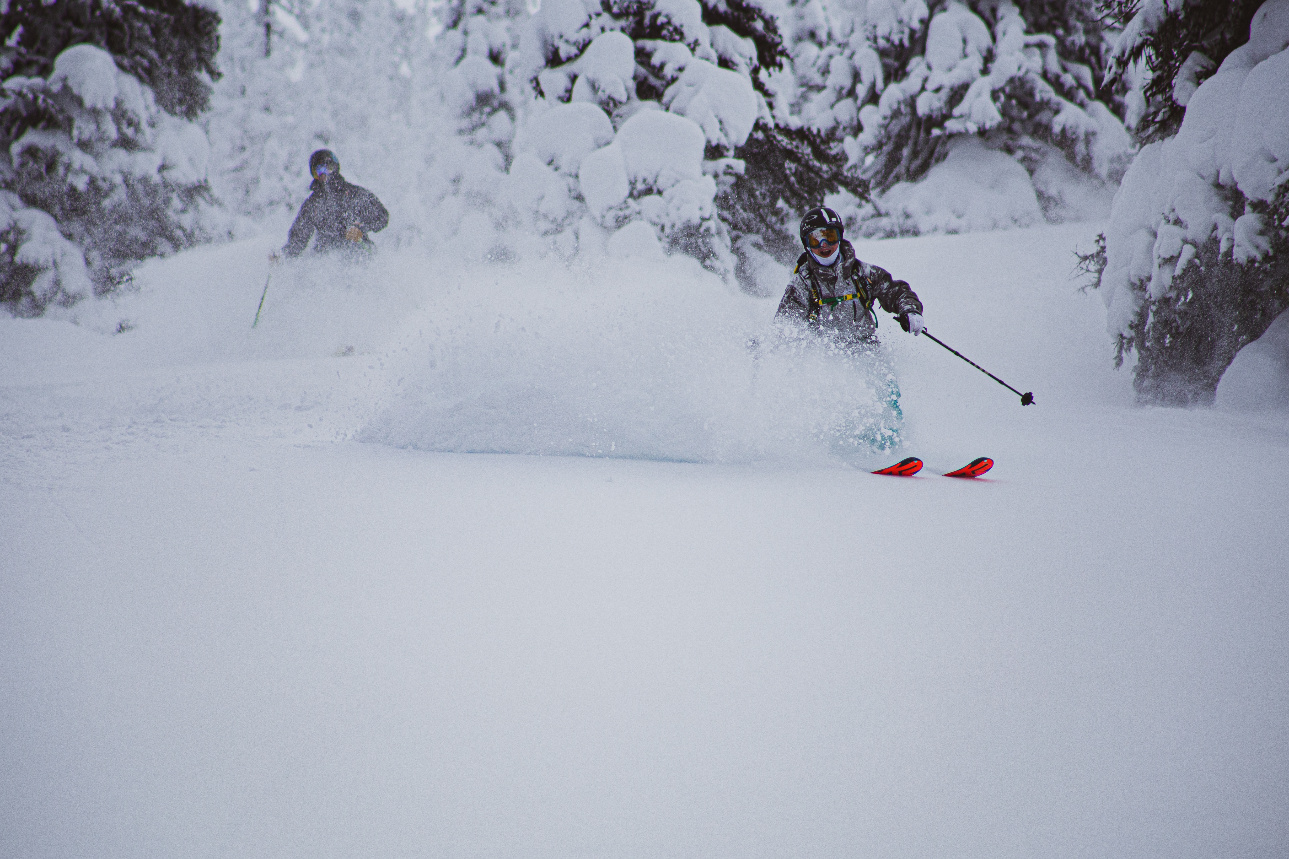 951805.jpeg 951805.jpeg