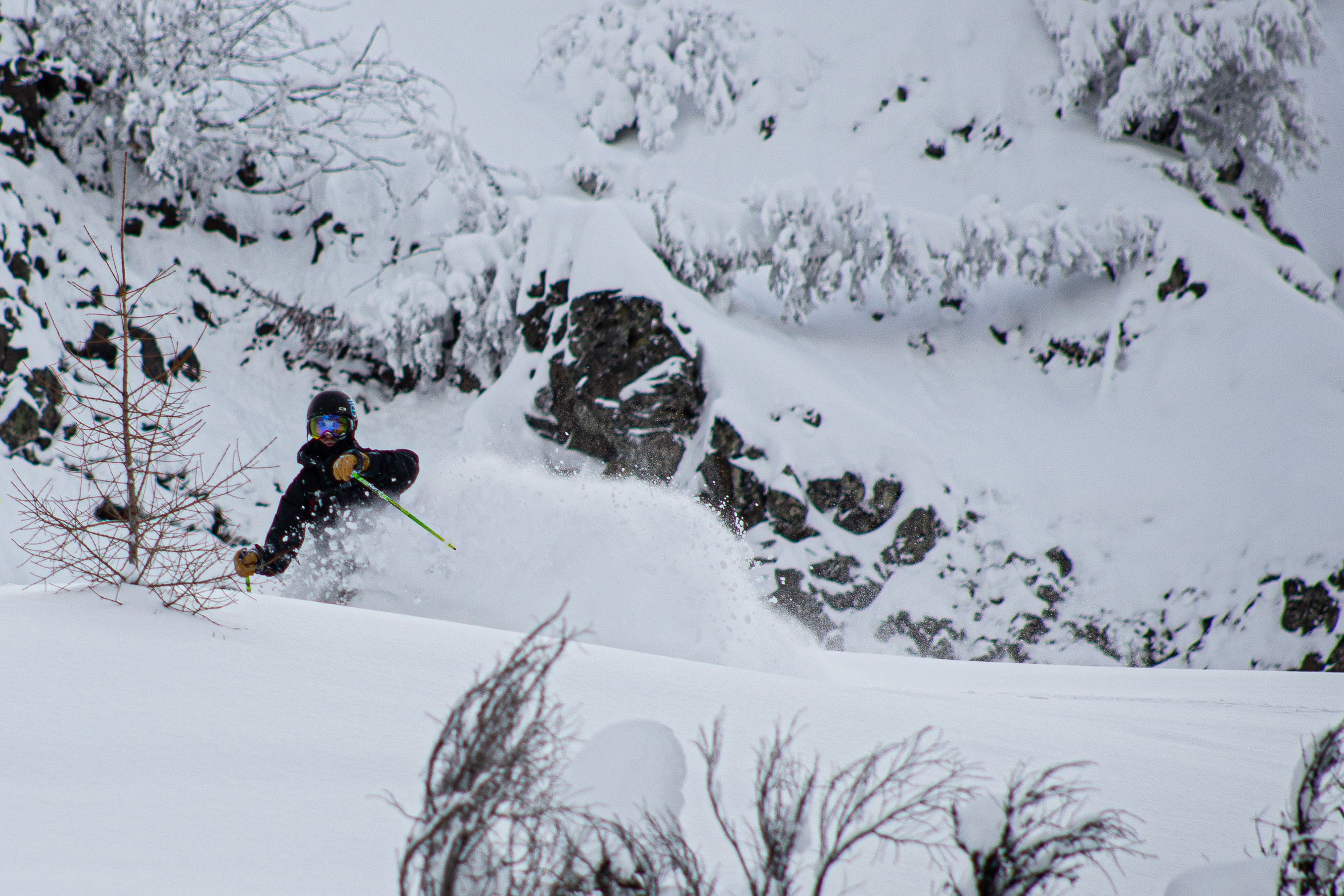 951806.jpeg 951806.jpeg