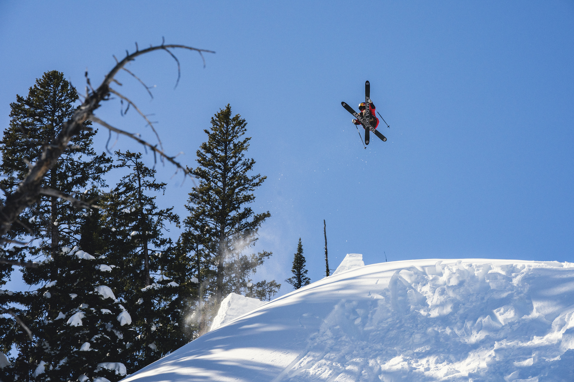 979561.jpeg 979561.jpeg