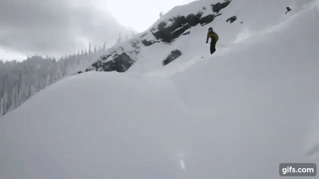 983077.gif 983077.gif