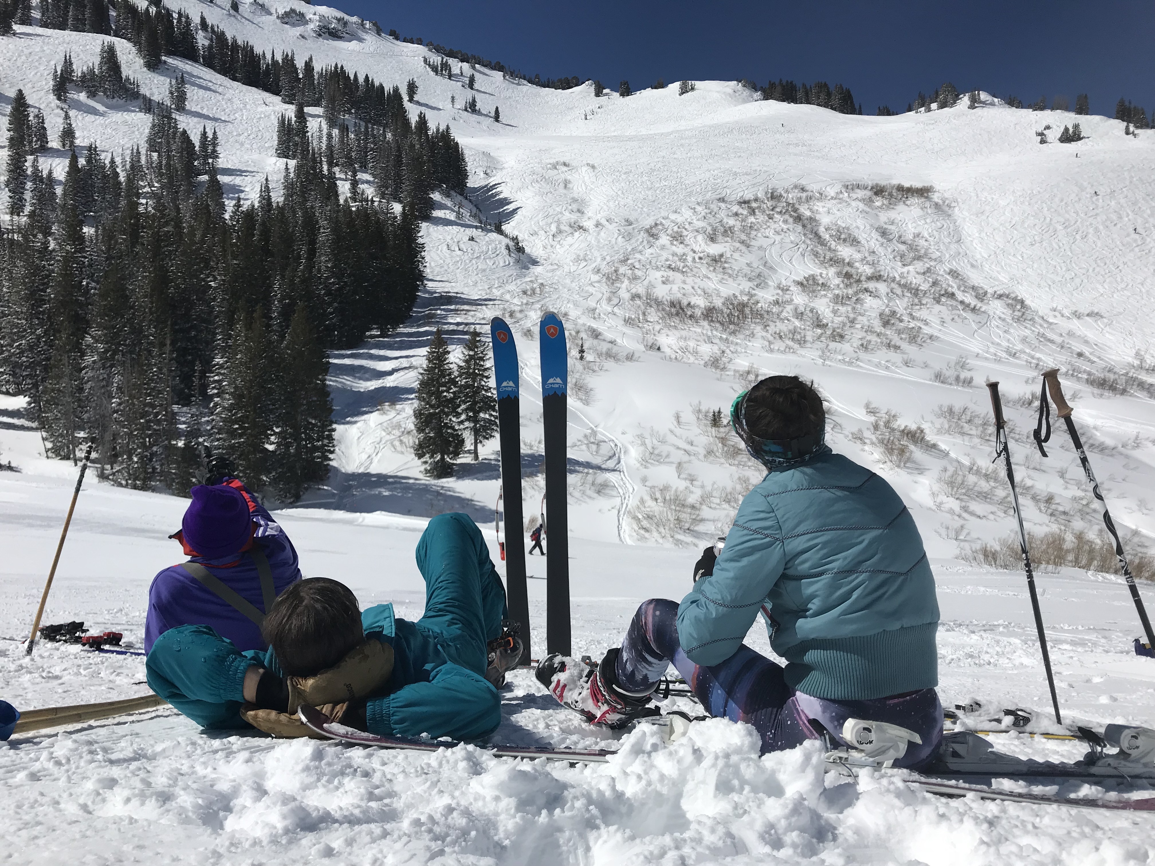 986738.jpeg 986738.jpeg