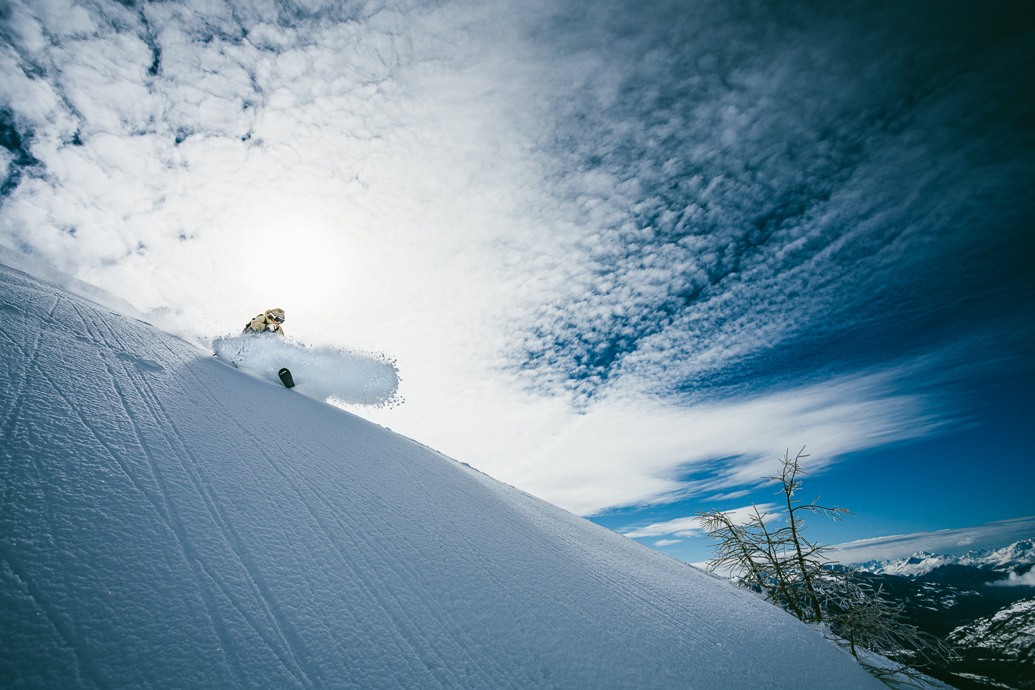 991155.jpeg 991155.jpeg