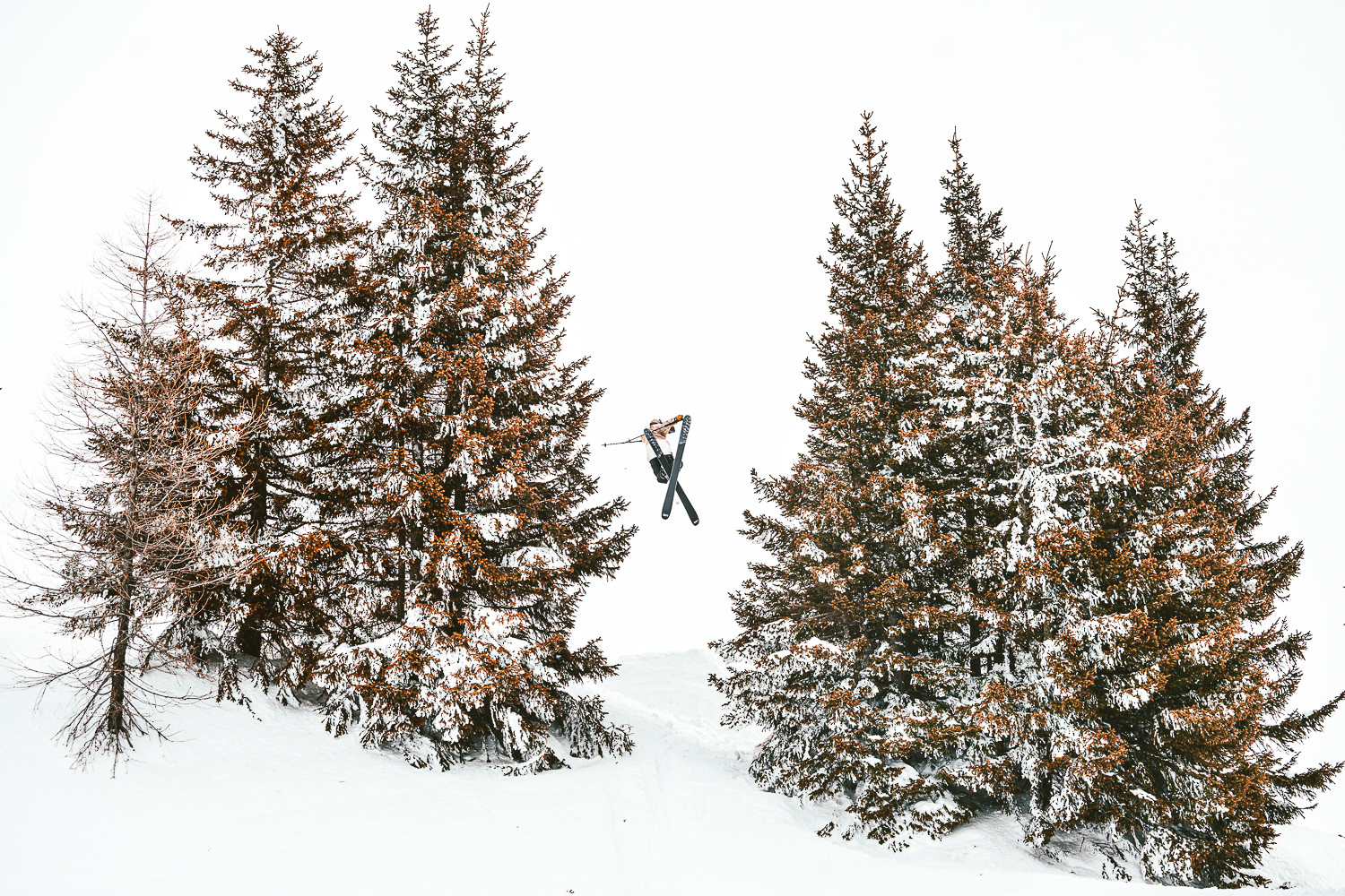 991157.jpeg 991157.jpeg