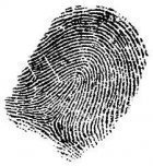 WÃƒÂ„ÃƒÂ„ÃƒÂ„ÃƒÂ„ÃƒÂ„ÃƒÂ„ÃƒÂ„ÃƒÂ„ÃƒÂ„ÃƒÂ„ÃƒÂ„ÃƒÂ„ÃƒÂ„H 