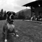 Portfolio Damien Deschamps 