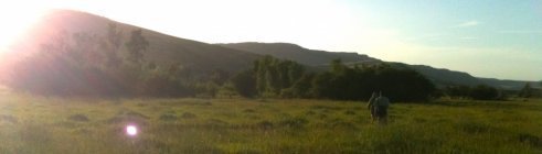 Fishing with the Provos 