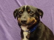 1002785.jpeg 1002785.jpeg