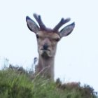 1002789.jpeg 1002789.jpeg