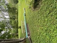 1006530.jpeg 1006530.jpeg