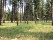 1006871.jpeg 1006871.jpeg