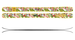 1007569.png