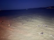 1012550.jpeg 1012550.jpeg