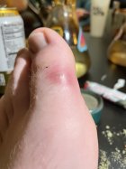 1014577.jpeg 1014577.jpeg