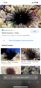 1014632.png 1014632.png