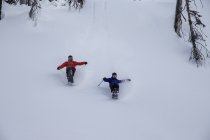 Get to Know Cole Richardson. IF3 Breakout Skier of the Year - LPP #190