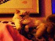 1018678.jpeg 1018678.jpeg