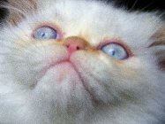 1018679.jpeg 1018679.jpeg