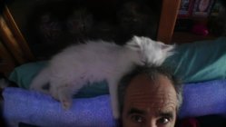 1022350.jpeg 1022350.jpeg