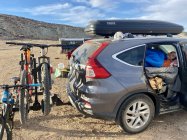 1024092.jpeg 1024092.jpeg