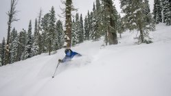 In-Depth Review: 2023 Lib Tech Yewps - The Roofbox Reviews