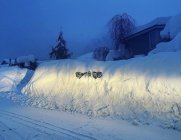 1026482.jpeg 1026482.jpeg