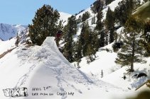 1027139.jpeg 1027139.jpeg