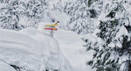 ABM on Announcing the Olympic Freestyle Events for CBC