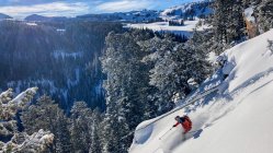 Midseason Gear Roundup