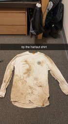 1037182.jpeg 1037182.jpeg