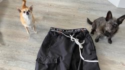 SexyJulian’s Trailer Park Reviews: Planks X Woodsy “Yeah Baby” Pants