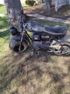 1038450.jpeg 1038450.jpeg