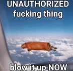 1041207.jpeg 1041207.jpeg