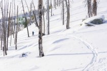 What The Hell is Skiing?