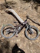 1043652.jpeg 1043652.jpeg