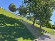 1046650.jpeg 1046650.jpeg