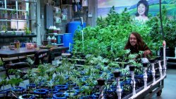 1049050.jpeg 1049050.jpeg